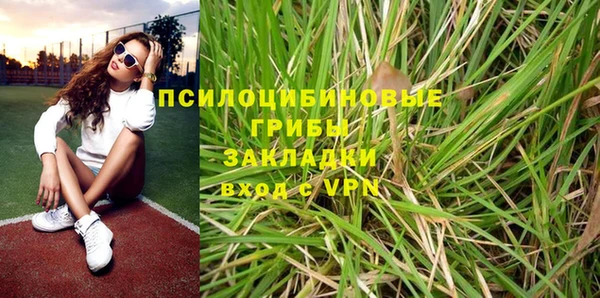 мяу мяу мука Кодинск