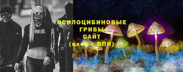 мяу мяу мука Кодинск
