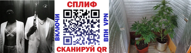 Канабис White Widow  omg вход  Макарьев 
